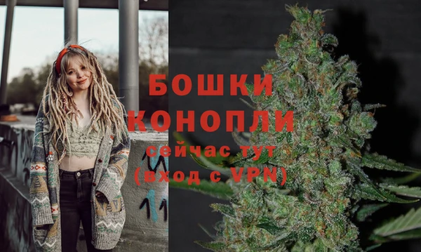 Альфа ПВП Аркадак