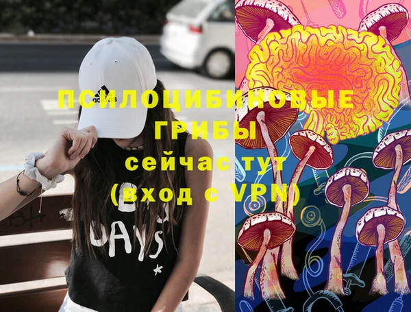 Альфа ПВП Аркадак