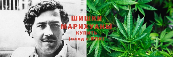 Альфа ПВП Аркадак