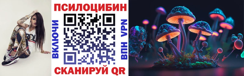 Галлюциногенные грибы Cubensis Морозовск